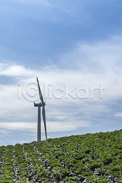 사람없음 JPG 포토 강원도 고랭지 매봉산 배추밭 산 태백 풍경(경치) 풍력에너지 하늘 한국