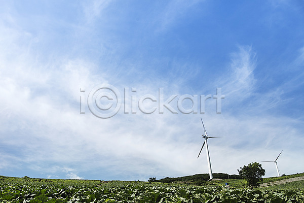 사람없음 JPG 포토 강원도 고랭지 매봉산 배추 배추밭 태백 풍경(경치) 풍력에너지 하늘 한국