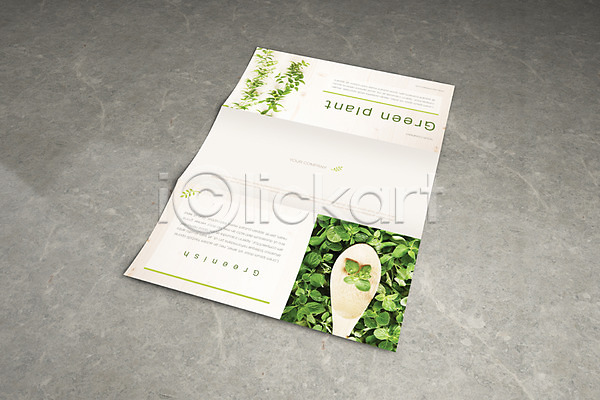 사람없음 3D PSD 템플릿 리플렛 목업 숟가락 식물 잎 팜플렛 편집 편집소스 표지