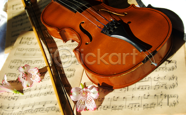 우아함 사람없음 JPG 포토 해외이미지 꽃 바이올린 바이올린활 악보 해외202004