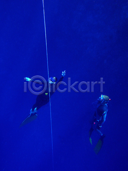 사람없음 JPG 포토 해외이미지 2 다이빙 무료 물 바다 빨간색 수중 야생동물 어류 이집트 자연 해외202004