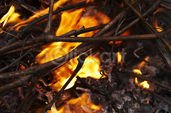 매움 사람없음 JPG 포토 해외이미지 A 나무 나뭇가지 모닥불 목재 발사 불 불꽃(불) 식물 쌓기 온도 해외202004 화상