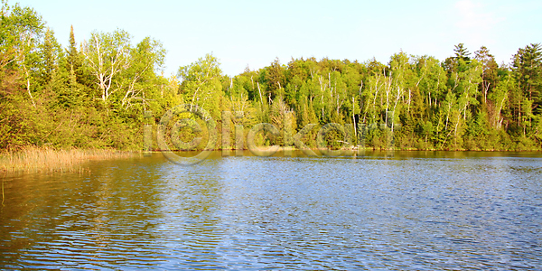 유혹 사람없음 JPG 포토 해외이미지 나무 내추럴 멀리 물 미국 북쪽 서식지 식물 자연 저녁 해외202004 해외포토 호수 황무지