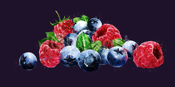 사람없음 JPG 포토 해외이미지 디저트 딸기 블루베리 산딸기 수채화(물감) 클립아트 페인트 해외202004