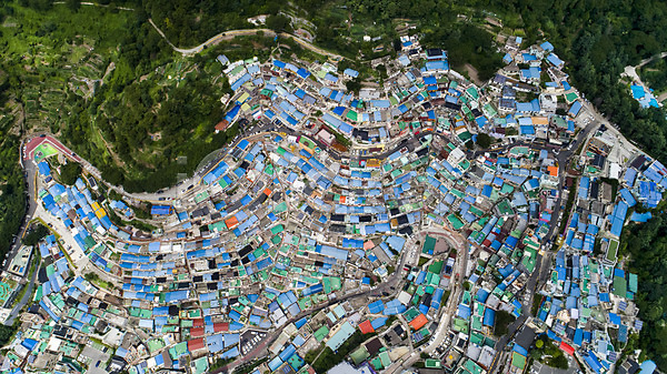 사람없음 JPG 포토 하이앵글 항공촬영 감천문화마을 나무 마을 부산 알록달록 야외 오색 주간 주택 지붕 컬러풀 풍경(경치) 한국
