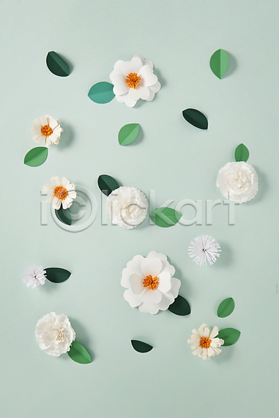 사람없음 JPG 포토 꽃 나뭇잎 스타티스 스튜디오촬영 실내 잎 종이 종이공예 페이퍼아트 흰색