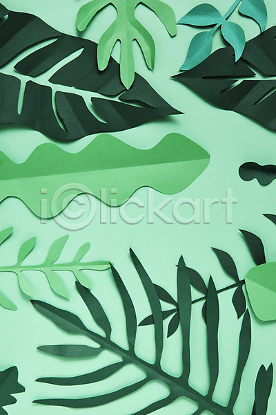 사람없음 JPG 포토 나뭇잎 스튜디오촬영 실내 잎 종이 종이공예 페이퍼아트 화선지