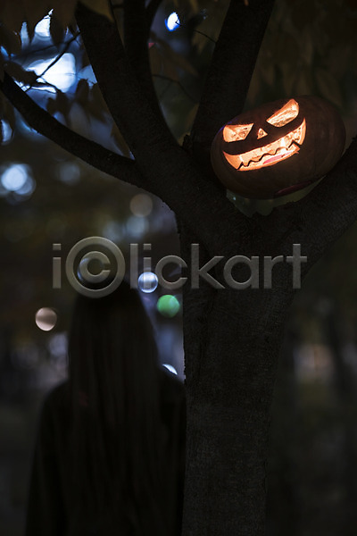 성인 여자 한명 JPG 아웃포커스 앞모습 포토 공포 나무 야간 야외 잭오랜턴 할로윈
