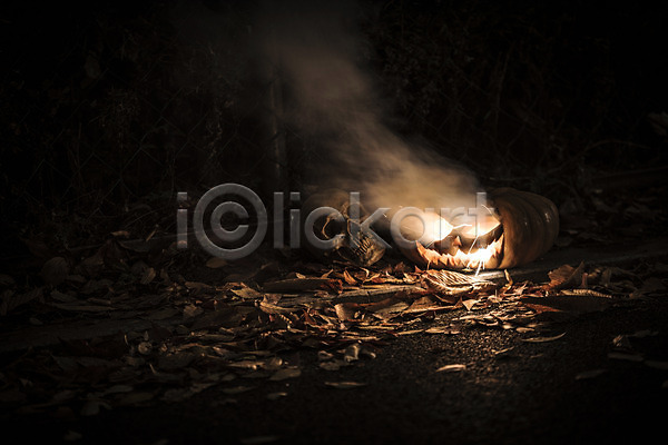 사람없음 JPG 포토 공포 나뭇잎 불 빛 야간 야외 잭오랜턴 할로윈