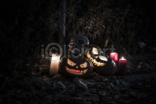 사람없음 JPG 포토 공포 나무 나뭇잎 빛 야간 야외 잭오랜턴 촛불 할로윈