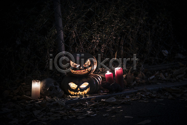 사람없음 JPG 포토 공포 나무 나뭇잎 빛 야간 야외 잭오랜턴 촛불 할로윈