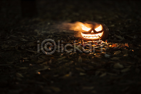 사람없음 JPG 아웃포커스 포토 공포 나뭇잎 불꽃(불) 빛 야간 야외 잭오랜턴 할로윈
