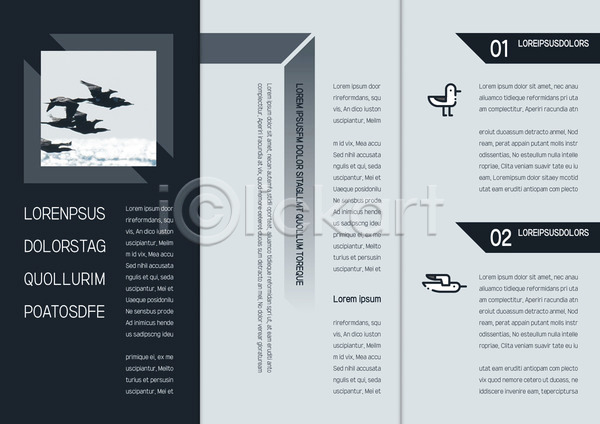 사람없음 AI(파일형식) 템플릿 3단접지 갈매기 내지 동물 리플렛 바다 북디자인 북커버 여러마리 자연 조류 출판디자인 팜플렛 편집 표지디자인