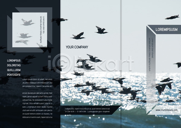 사람없음 AI(파일형식) 템플릿 3단접지 갈매기 동물 리플렛 바다 북디자인 북커버 여러마리 자연 조류 출판디자인 팜플렛 편집 표지 표지디자인