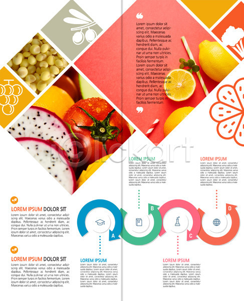 사람없음 PSD 템플릿 2단접지 내지 레몬 리플렛 북디자인 북커버 빨대 용과 출판디자인 콩 토마토 팜플렛 편집 포도 표지디자인 화살표