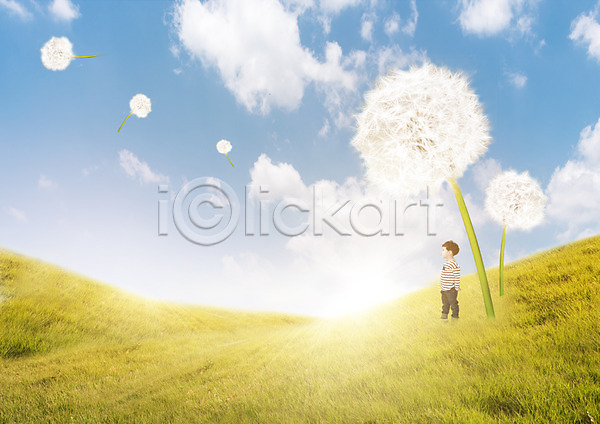 남자 어린이 한국인 한명 PSD 편집이미지 교육 구름(자연) 민들레홀씨 서기 어린이교육 언덕 자연 잔디 하늘