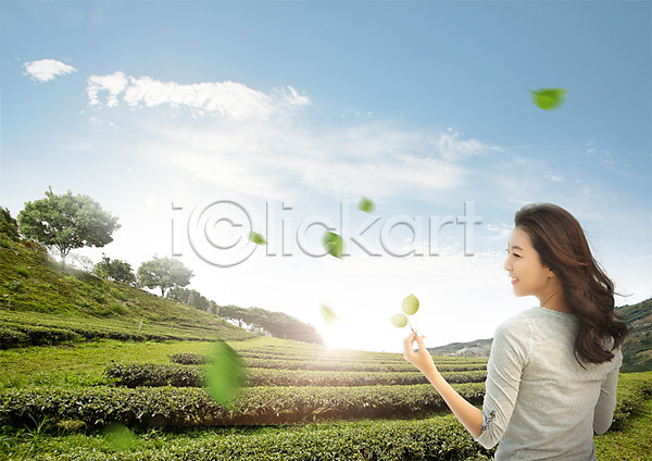 20대 성인 여자 한국인 한명 PSD 뒷모습 편집이미지 구름(자연) 나무 나뭇잎 녹차밭 상반신 안식처 여행 웃음 하늘