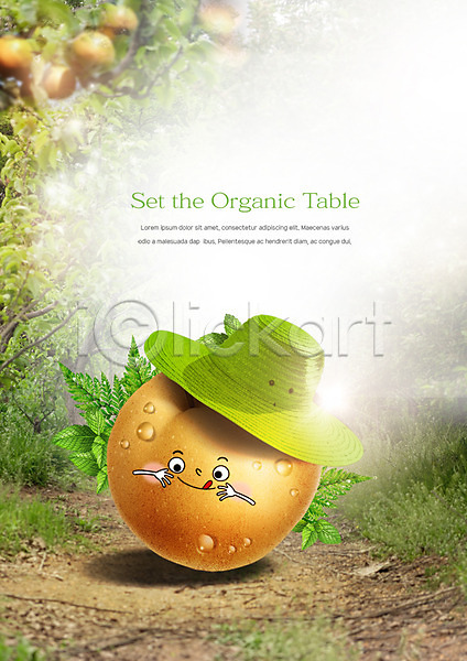 사람없음 PSD 편집이미지 나뭇잎 농작물 밀짚모자 배(과일) 배나무 유기농 음식 음식캐릭터