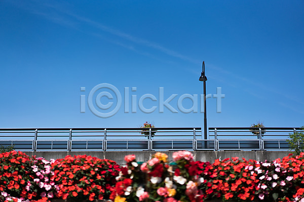 사람없음 JPG 포토 가로등 구름(자연) 꽃 다리(건축물) 야외 주간 풍경(경치) 하늘