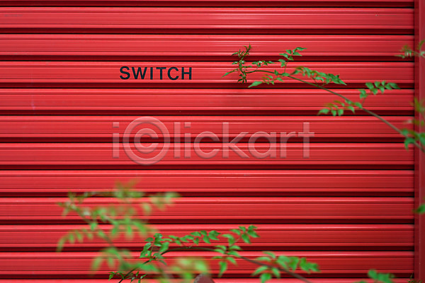 사람없음 JPG 포토 나뭇가지 백그라운드 빨간색 셔터 야외 잎 주간