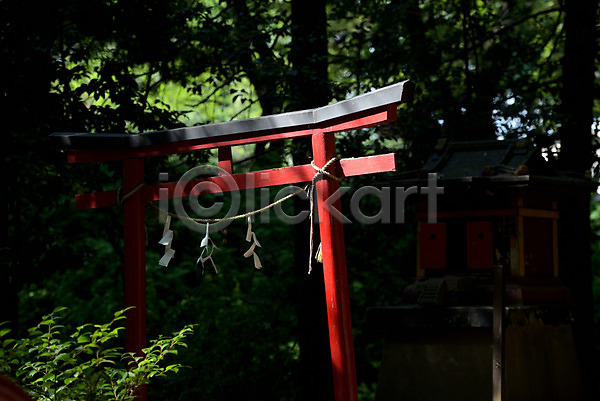 사람없음 JPG 포토 나무 사찰 숲 야외 오미쿠지 일본 일본건축 일본전통 종교 주간 토리이