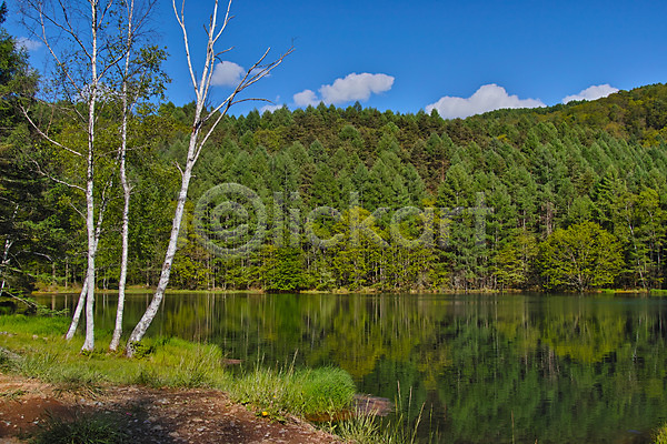 사람없음 JPG 포토 구름(자연) 나무 물그림자 숲 야외 자연 주간 풍경(경치) 하늘 호수
