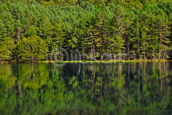 사람없음 JPG 포토 나무 물그림자 숲 야외 자연 주간 풍경(경치) 호수