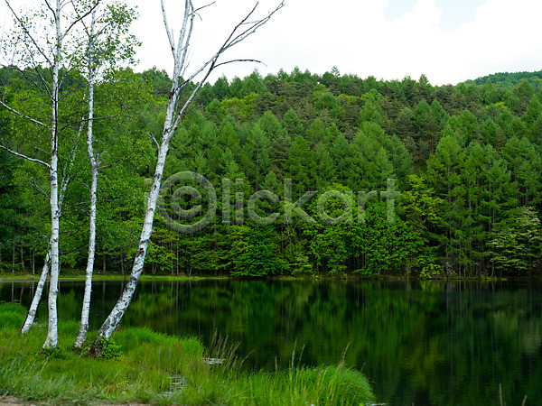 사람없음 JPG 포토 나무 물그림자 숲 야외 자연 주간 풍경(경치) 호수