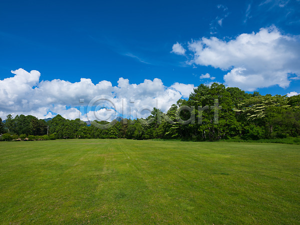 사람없음 JPG 포토 구름(자연) 나무 야외 자연 잔디 주간 풍경(경치) 하늘