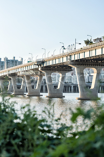 사람없음 JPG 아웃포커스 포토 강 건물 나무 다리(건축물) 서울 아파트 야외 주간 천호대교 풀(식물) 풍경(경치) 하늘 한강