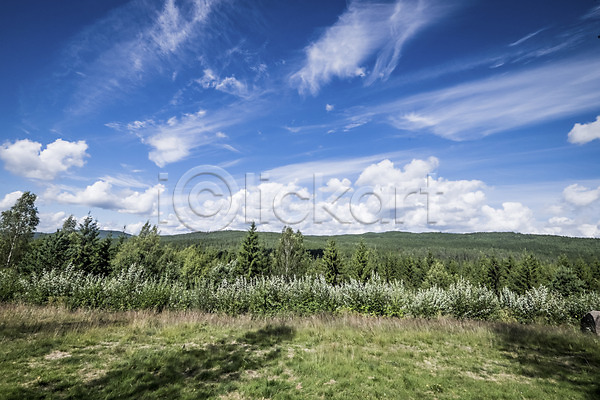 사람없음 JPG 포토 구름(자연) 나무 노르웨이 맑음 야외 유럽 유럽풍경 자연 주간 초원(자연) 풍경(경치) 하늘 해외풍경