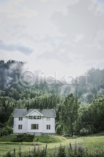 사람없음 JPG 포토 구름(자연) 나무 노르웨이 숲 야외 유럽 유럽풍경 자연 주간 주택 초원(자연) 풍경(경치) 해외풍경