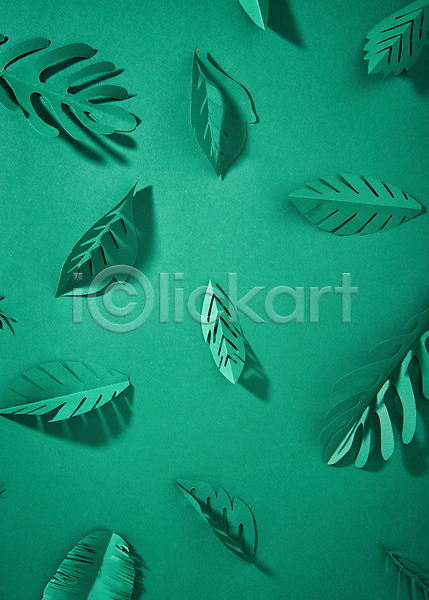 사람없음 JPG 포토 나뭇잎 스튜디오촬영 실내 종이 초록색 패턴 페이퍼아트