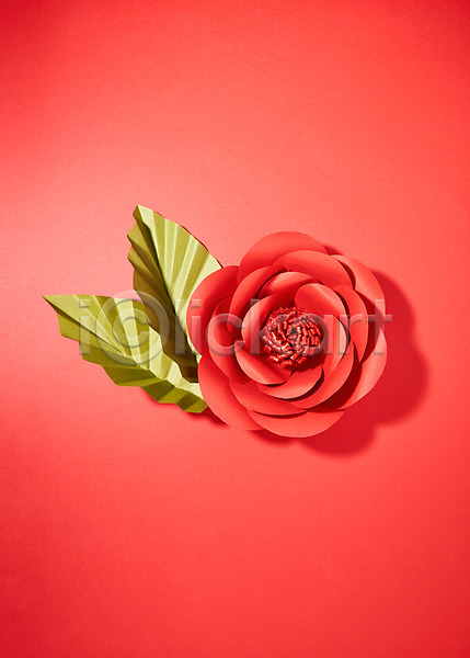사람없음 JPG 포토 꽃 나뭇잎 동백 빨간색 스튜디오촬영 실내 종이 종이꽃 페이퍼아트