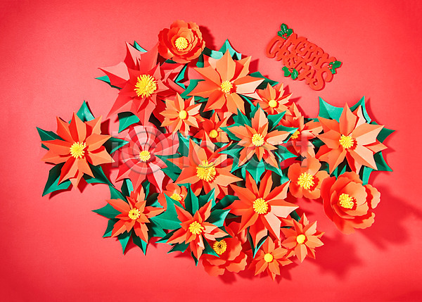 사람없음 JPG 포토 꽃 나뭇잎 동백 빨간색 스튜디오촬영 실내 종이 종이꽃 페이퍼아트 포인세티아