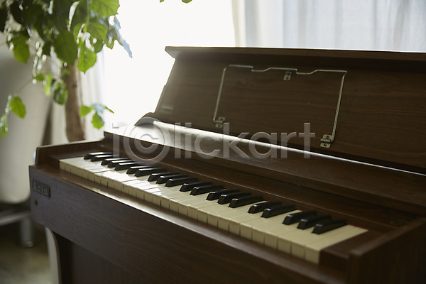 사람없음 JPG 아웃포커스 포토 거실 건반 건반악기 나무 실내 악기 피아노(악기) 피아노건반 화분