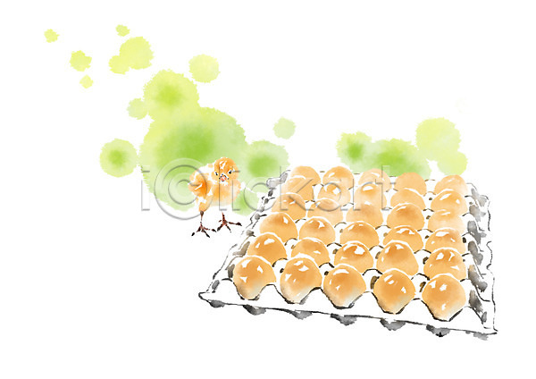 사람없음 PSD 일러스트 가축 계란 계란판 동물 번짐 병아리 안전 유기농 캘리그라피 한마리