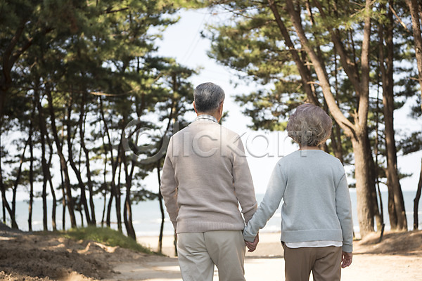 다정 산책 60대 남자 노년 노인만 두명 여자 한국인 JPG 뒷모습 포토 가족 걷기 나무 노부부 부부 상반신 손잡기 안면도 야외 주간 한국 해변