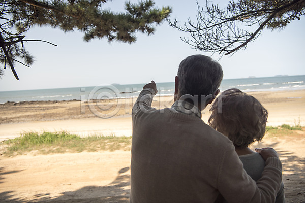 다정 산책 60대 남자 노년 노인만 두명 여자 한국인 JPG 뒷모습 포토 가리킴 가족 나무 노부부 바다 부부 상반신 안면도 야외 주간 한국 해변