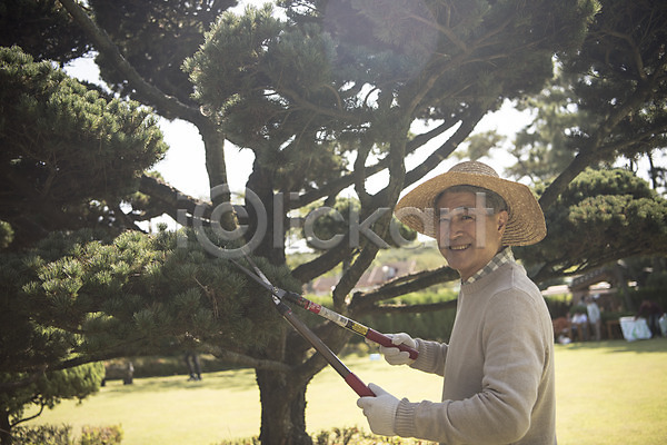 60대 남자 노년 노인남자한명만 한국인 한명 JPG 아웃포커스 옆모습 포토 가지치기 나무 들기 상반신 서기 안면도 야외 웃음 정원 조경 조경가위 조경사 주간 한국