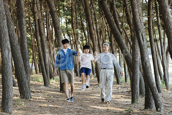 산책 즐거움 10대 40대 60대 남자 남자만 세명 소년 어린이 한국인 JPG 아웃포커스 앞모습 포토 가족 가족라이프 걷기 나무 들기 부자3대 손자 손잡기 숲 아들 아빠 안면도 야외 웃음 응시 전신 주간 한국 할아버지