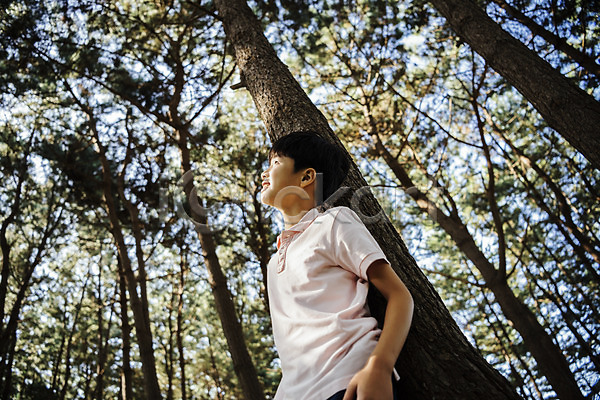 10대 남자 소년 소년한명만 어린이 한국인 한명 JPG 로우앵글 아웃포커스 옆모습 포토 나무 상반신 서기 숲 안면도 야외 웃음 응시 주간 한국