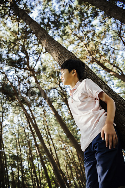 10대 남자 소년 소년한명만 어린이 한국인 한명 JPG 로우앵글 아웃포커스 옆모습 포토 나무 눈감음 상반신 서기 숲 안면도 야외 웃음 주간 한국