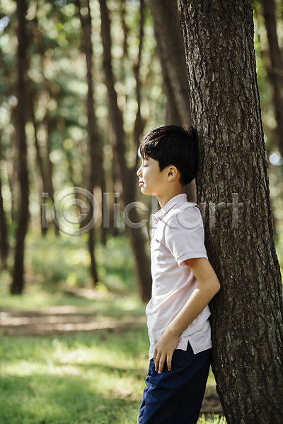 10대 남자 소년 소년한명만 어린이 한국인 한명 JPG 옆모습 포토 기댐 나무 눈감음 상반신 서기 숲 안면도 야외 주간 한국