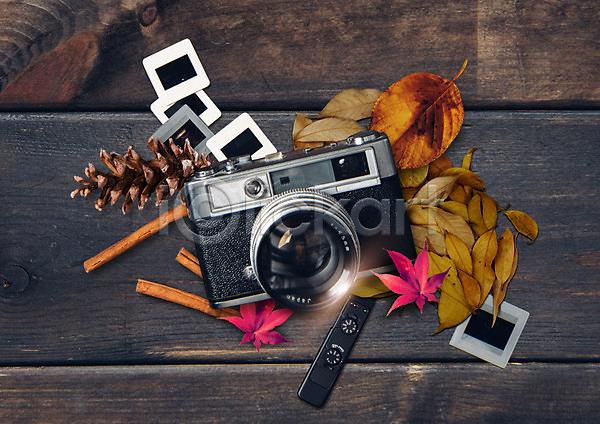 사람없음 PSD 편집이미지 가을(계절) 낙엽 단풍 솔방울 슬라이드필름 시나몬스틱 여행 카메라 플랫레이