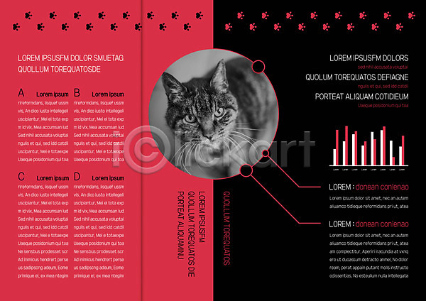 사람없음 AI(파일형식) 템플릿 3단접지 고양이 그래프 내지 리플렛 반려 북디자인 북커버 자연 출판디자인 팜플렛 편집 표지디자인 한마리
