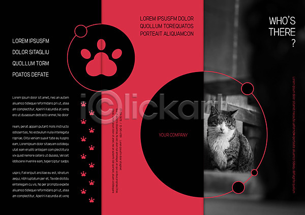 사람없음 AI(파일형식) 템플릿 3단접지 고양이 리플렛 반려 발자국 북디자인 북커버 자연 출판디자인 팜플렛 편집 표지 표지디자인 한마리