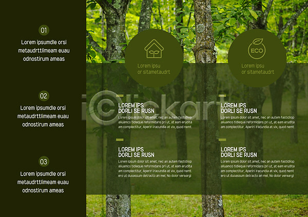 사람없음 AI(파일형식) 템플릿 3단접지 나무 내지 리플렛 북디자인 북커버 숲 에코 자연 출판디자인 팜플렛 편집 표지디자인