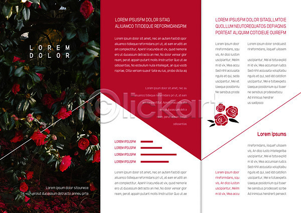 사람없음 AI(파일형식) 템플릿 3단접지 꽃 내지 리플렛 북디자인 북커버 빨간색 자연 장미 출판디자인 팜플렛 편집 표지디자인