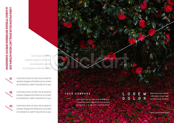사람없음 AI(파일형식) 템플릿 3단접지 꽃 리플렛 북디자인 북커버 빨간색 자연 장미 출판디자인 팜플렛 편집 표지 표지디자인